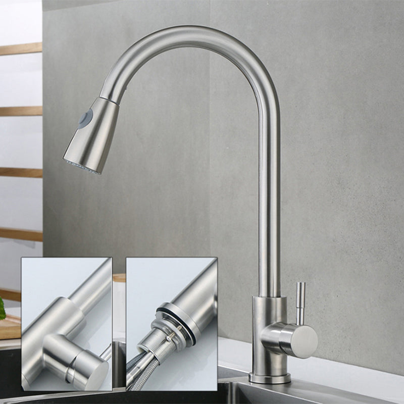 Modern Faucets 1-Handle Pull down with Water Dispenser Standard Kitchen Faucets Clearhalo 'Home Improvement' 'home_improvement' 'home_improvement_kitchen_faucets' 'Kitchen Faucets' 'Kitchen Remodel & Kitchen Fixtures' 'Kitchen Sinks & Faucet Components' 'kitchen_faucets' 6438600