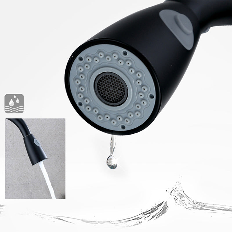 Modern Faucets 1-Handle Pull down with Water Dispenser Standard Kitchen Faucets Clearhalo 'Home Improvement' 'home_improvement' 'home_improvement_kitchen_faucets' 'Kitchen Faucets' 'Kitchen Remodel & Kitchen Fixtures' 'Kitchen Sinks & Faucet Components' 'kitchen_faucets' 6438602