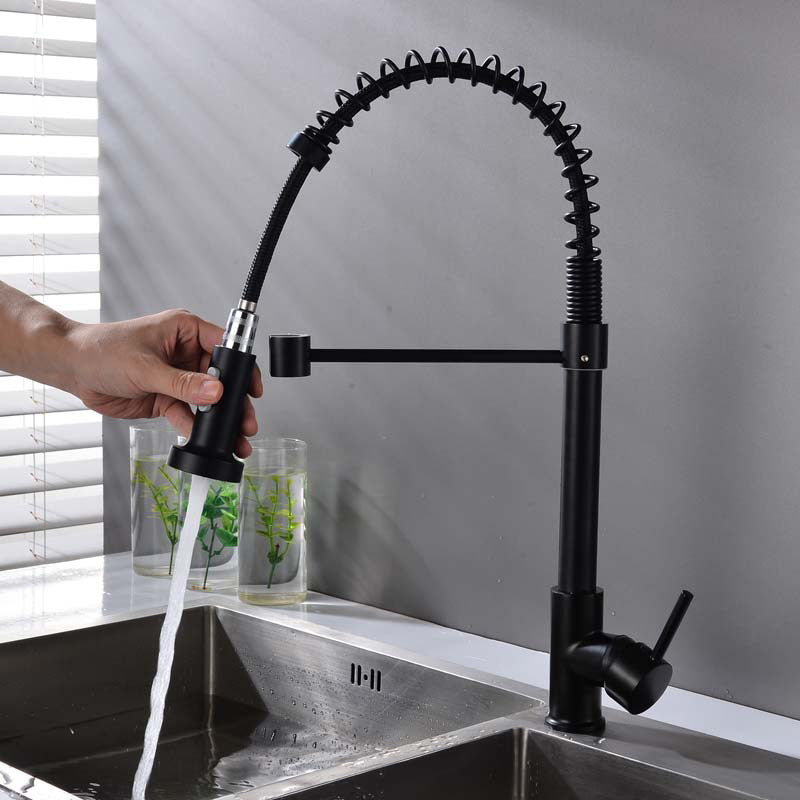 Modern Spring Spout Faucets 1-Handle with Water Dispenser Standard ...