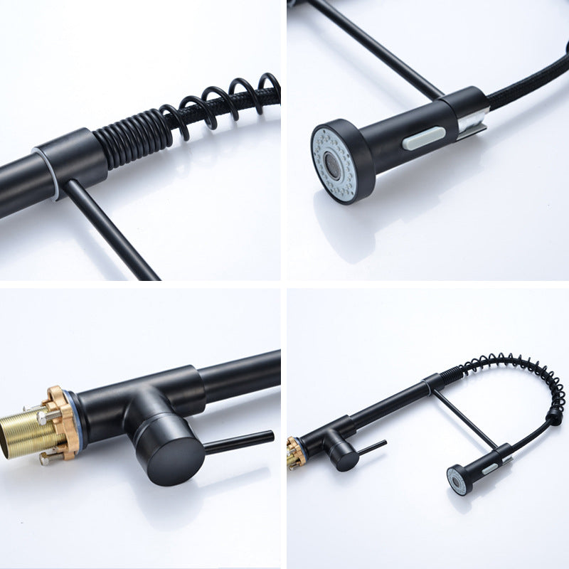 Modern Spring Spout Faucets 1-Handle with Water Dispenser Standard Kitchen Faucets Clearhalo 'Home Improvement' 'home_improvement' 'home_improvement_kitchen_faucets' 'Kitchen Faucets' 'Kitchen Remodel & Kitchen Fixtures' 'Kitchen Sinks & Faucet Components' 'kitchen_faucets' 6438612