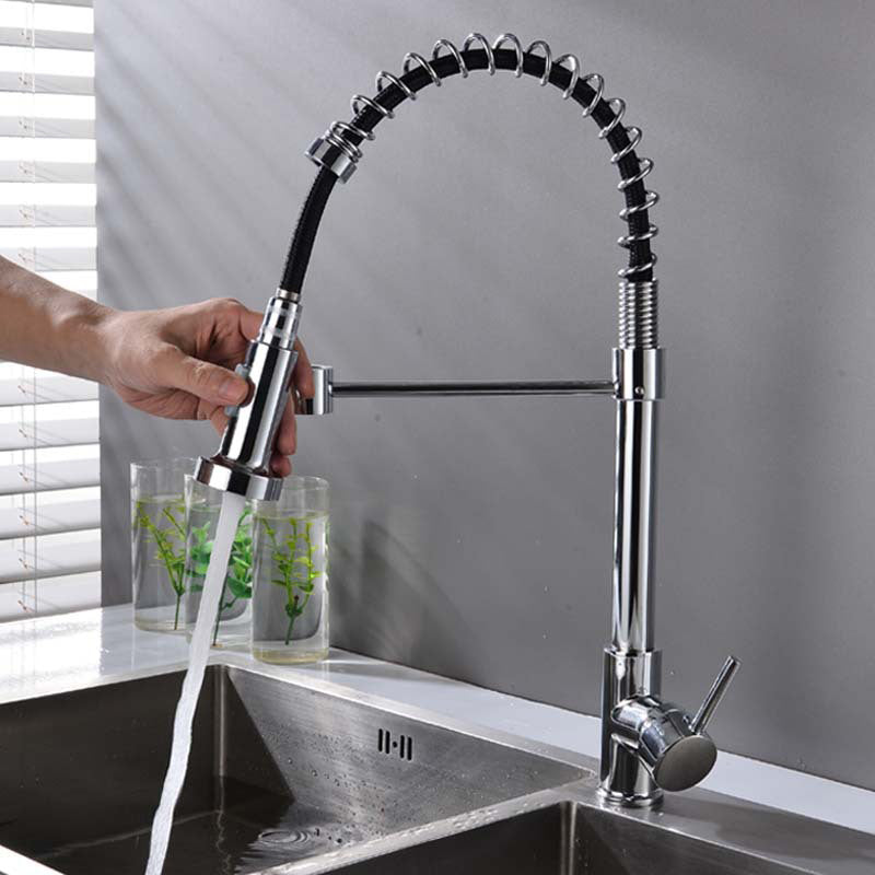 Modern Spring Spout Faucets 1-Handle with Water Dispenser Standard ...