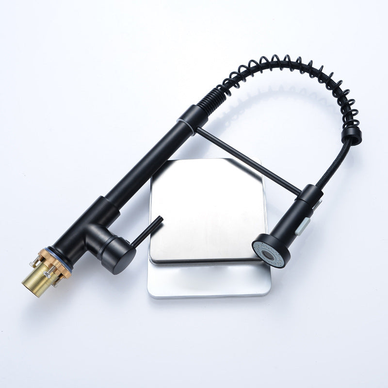 Modern Spring Spout Faucets 1-Handle with Water Dispenser Standard Kitchen Faucets Clearhalo 'Home Improvement' 'home_improvement' 'home_improvement_kitchen_faucets' 'Kitchen Faucets' 'Kitchen Remodel & Kitchen Fixtures' 'Kitchen Sinks & Faucet Components' 'kitchen_faucets' 6438614