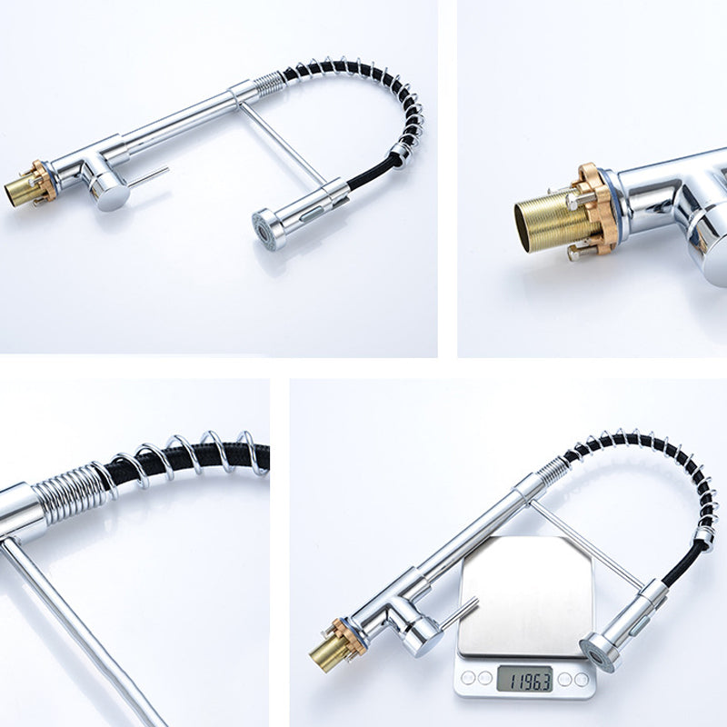 Modern Spring Spout Faucets 1-Handle with Water Dispenser Standard Kitchen Faucets Clearhalo 'Home Improvement' 'home_improvement' 'home_improvement_kitchen_faucets' 'Kitchen Faucets' 'Kitchen Remodel & Kitchen Fixtures' 'Kitchen Sinks & Faucet Components' 'kitchen_faucets' 6438618