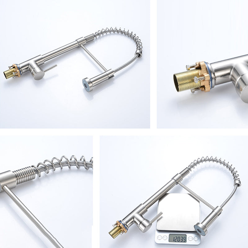 Modern Spring Spout Faucets 1-Handle with Water Dispenser Standard Kitchen Faucets Clearhalo 'Home Improvement' 'home_improvement' 'home_improvement_kitchen_faucets' 'Kitchen Faucets' 'Kitchen Remodel & Kitchen Fixtures' 'Kitchen Sinks & Faucet Components' 'kitchen_faucets' 6438619