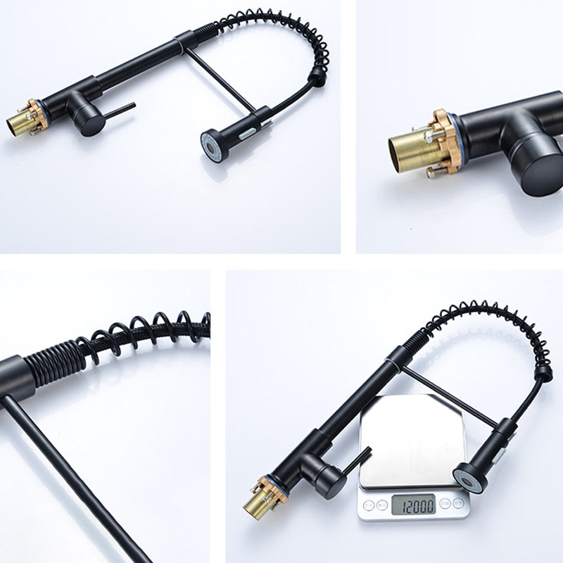 Modern Spring Spout Faucets 1-Handle with Water Dispenser Standard Kitchen Faucets Clearhalo 'Home Improvement' 'home_improvement' 'home_improvement_kitchen_faucets' 'Kitchen Faucets' 'Kitchen Remodel & Kitchen Fixtures' 'Kitchen Sinks & Faucet Components' 'kitchen_faucets' 6438620