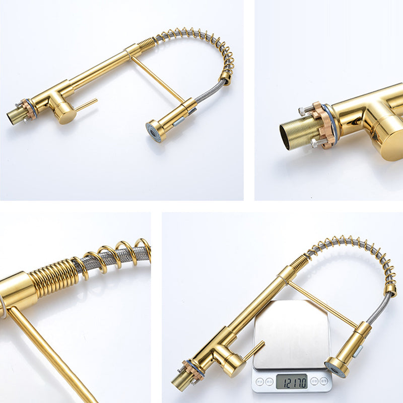 Modern Spring Spout Faucets 1-Handle with Water Dispenser Standard Kitchen Faucets Clearhalo 'Home Improvement' 'home_improvement' 'home_improvement_kitchen_faucets' 'Kitchen Faucets' 'Kitchen Remodel & Kitchen Fixtures' 'Kitchen Sinks & Faucet Components' 'kitchen_faucets' 6438621