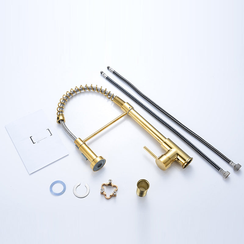 Modern Spring Spout Faucets 1-Handle with Water Dispenser Standard Kitchen Faucets Clearhalo 'Home Improvement' 'home_improvement' 'home_improvement_kitchen_faucets' 'Kitchen Faucets' 'Kitchen Remodel & Kitchen Fixtures' 'Kitchen Sinks & Faucet Components' 'kitchen_faucets' 6438622