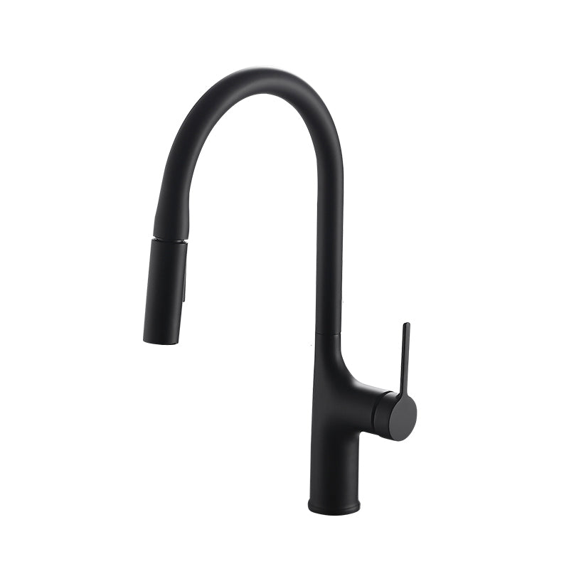 Contemporary Pull Down Single Handle Kitchen Faucet High Arch Water Filler Black Clearhalo 'Home Improvement' 'home_improvement' 'home_improvement_kitchen_faucets' 'Kitchen Faucets' 'Kitchen Remodel & Kitchen Fixtures' 'Kitchen Sinks & Faucet Components' 'kitchen_faucets' 6457167