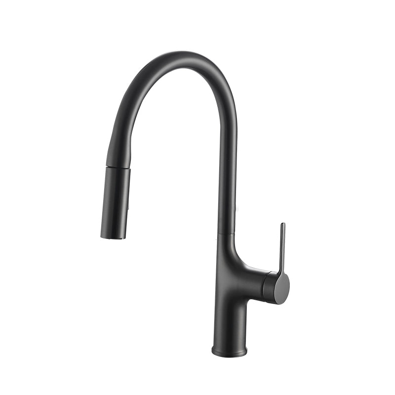 Contemporary Pull Down Single Handle Kitchen Faucet High Arch Water Filler Grey Clearhalo 'Home Improvement' 'home_improvement' 'home_improvement_kitchen_faucets' 'Kitchen Faucets' 'Kitchen Remodel & Kitchen Fixtures' 'Kitchen Sinks & Faucet Components' 'kitchen_faucets' 6457170