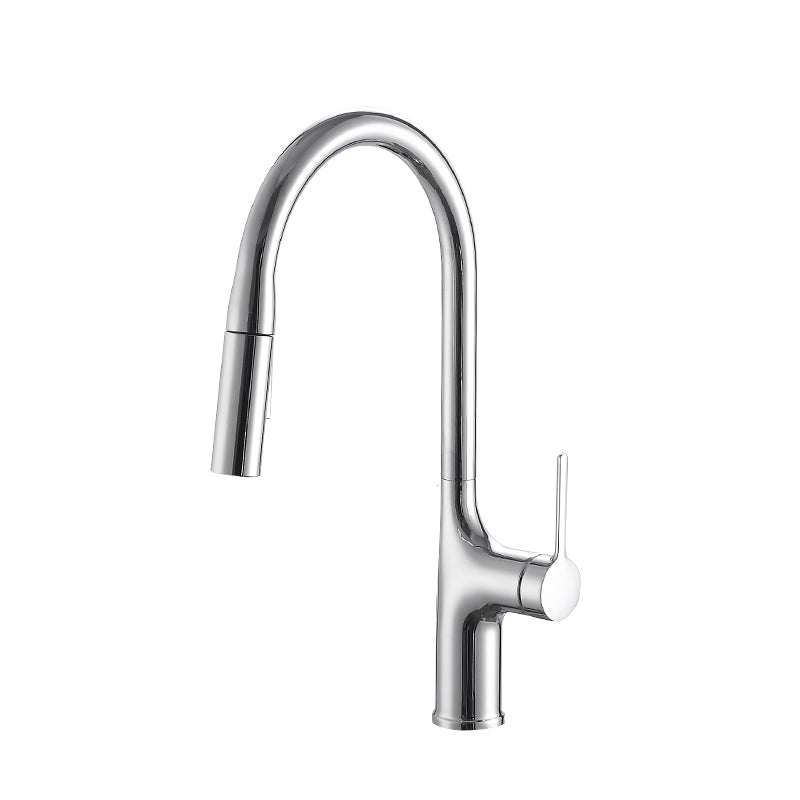 Contemporary Pull Down Single Handle Kitchen Faucet High Arch Water Filler Silver Clearhalo 'Home Improvement' 'home_improvement' 'home_improvement_kitchen_faucets' 'Kitchen Faucets' 'Kitchen Remodel & Kitchen Fixtures' 'Kitchen Sinks & Faucet Components' 'kitchen_faucets' 6457172