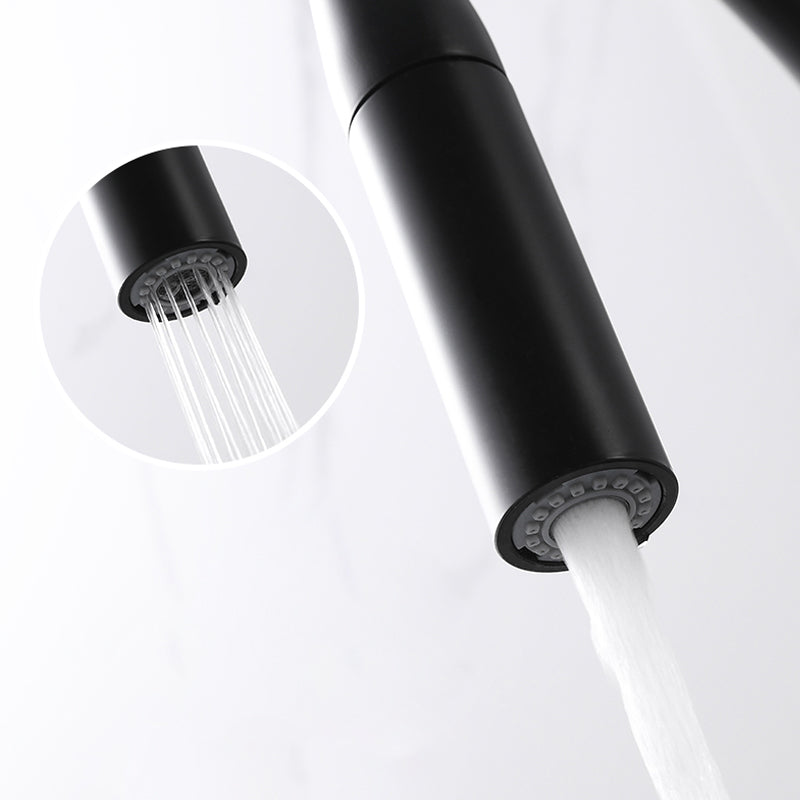 Contemporary Pull Down Single Handle Kitchen Faucet High Arch Water Filler Clearhalo 'Home Improvement' 'home_improvement' 'home_improvement_kitchen_faucets' 'Kitchen Faucets' 'Kitchen Remodel & Kitchen Fixtures' 'Kitchen Sinks & Faucet Components' 'kitchen_faucets' 6457173