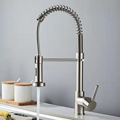 1-Handle Faucets with Water Dispenser Spring Spout Standard Kitchen Faucets Silver Clearhalo 'Home Improvement' 'home_improvement' 'home_improvement_kitchen_faucets' 'Kitchen Faucets' 'Kitchen Remodel & Kitchen Fixtures' 'Kitchen Sinks & Faucet Components' 'kitchen_faucets' 6467069