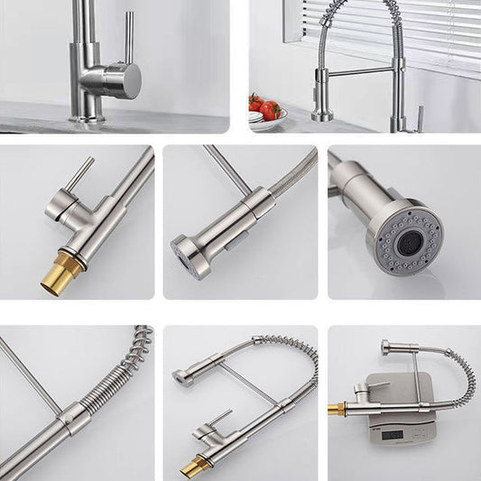 1-Handle Faucets with Water Dispenser Spring Spout Standard Kitchen Faucets Clearhalo 'Home Improvement' 'home_improvement' 'home_improvement_kitchen_faucets' 'Kitchen Faucets' 'Kitchen Remodel & Kitchen Fixtures' 'Kitchen Sinks & Faucet Components' 'kitchen_faucets' 6467077