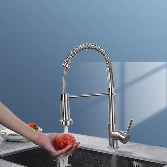1-Handle Faucets with Water Dispenser Spring Spout Standard Kitchen Faucets Clearhalo 'Home Improvement' 'home_improvement' 'home_improvement_kitchen_faucets' 'Kitchen Faucets' 'Kitchen Remodel & Kitchen Fixtures' 'Kitchen Sinks & Faucet Components' 'kitchen_faucets' 6467082