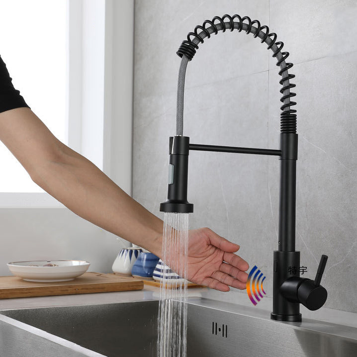 Modern Farmhouse Spring Spout One Handle Kitchen Faucet High Arch Water Filler Black Clearhalo 'Home Improvement' 'home_improvement' 'home_improvement_kitchen_faucets' 'Kitchen Faucets' 'Kitchen Remodel & Kitchen Fixtures' 'Kitchen Sinks & Faucet Components' 'kitchen_faucets' 6467181