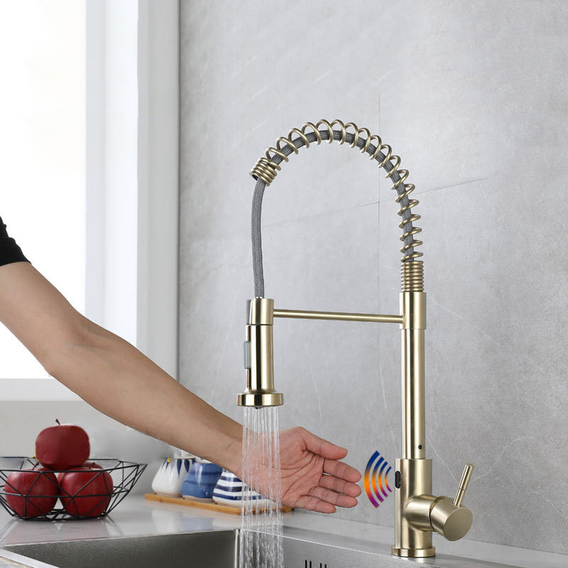 Modern Farmhouse Spring Spout One Handle Kitchen Faucet High Arch Water Filler Gold Clearhalo 'Home Improvement' 'home_improvement' 'home_improvement_kitchen_faucets' 'Kitchen Faucets' 'Kitchen Remodel & Kitchen Fixtures' 'Kitchen Sinks & Faucet Components' 'kitchen_faucets' 6467182
