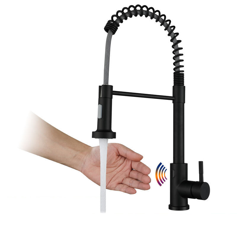 Modern Farmhouse Spring Spout One Handle Kitchen Faucet High Arch Water Filler Clearhalo 'Home Improvement' 'home_improvement' 'home_improvement_kitchen_faucets' 'Kitchen Faucets' 'Kitchen Remodel & Kitchen Fixtures' 'Kitchen Sinks & Faucet Components' 'kitchen_faucets' 6467188
