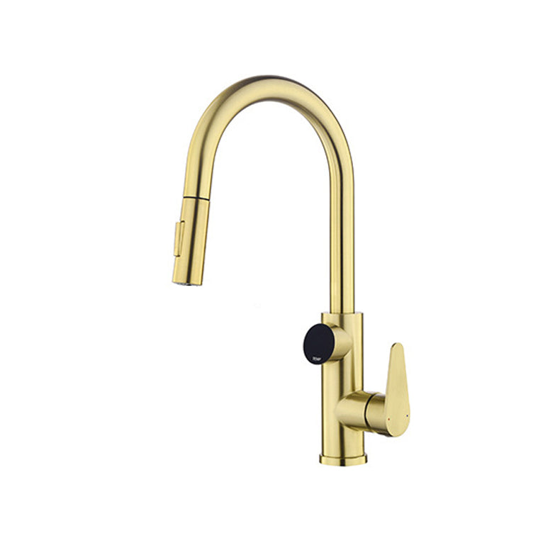 Modern Style Kitchen Faucet Stainless Steel 1-Handle High Arc Retractable Kitchen Faucet Clearhalo 'Home Improvement' 'home_improvement' 'home_improvement_kitchen_faucets' 'Kitchen Faucets' 'Kitchen Remodel & Kitchen Fixtures' 'Kitchen Sinks & Faucet Components' 'kitchen_faucets' 6484228