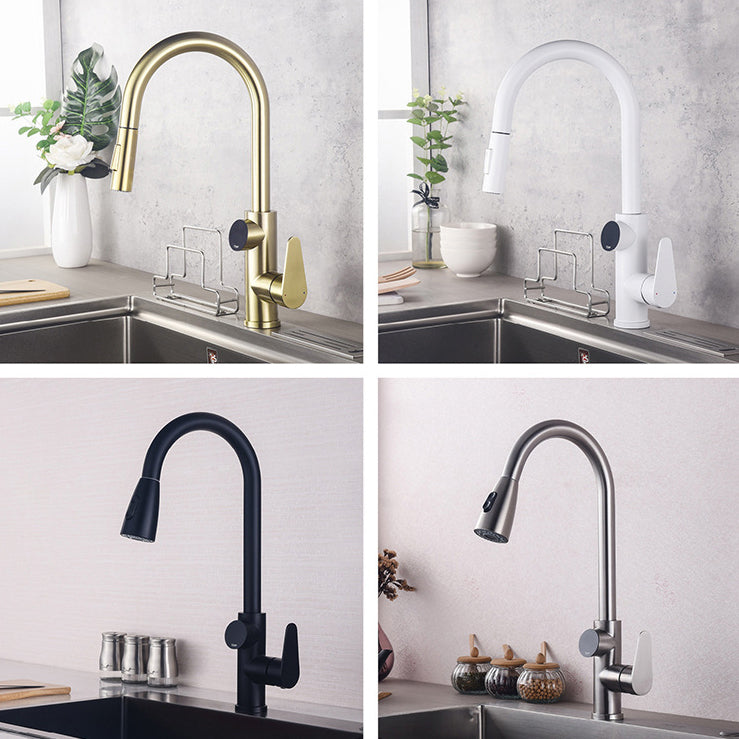 Modern Style Kitchen Faucet Stainless Steel 1-Handle High Arc Retractable Kitchen Faucet Clearhalo 'Home Improvement' 'home_improvement' 'home_improvement_kitchen_faucets' 'Kitchen Faucets' 'Kitchen Remodel & Kitchen Fixtures' 'Kitchen Sinks & Faucet Components' 'kitchen_faucets' 6484236