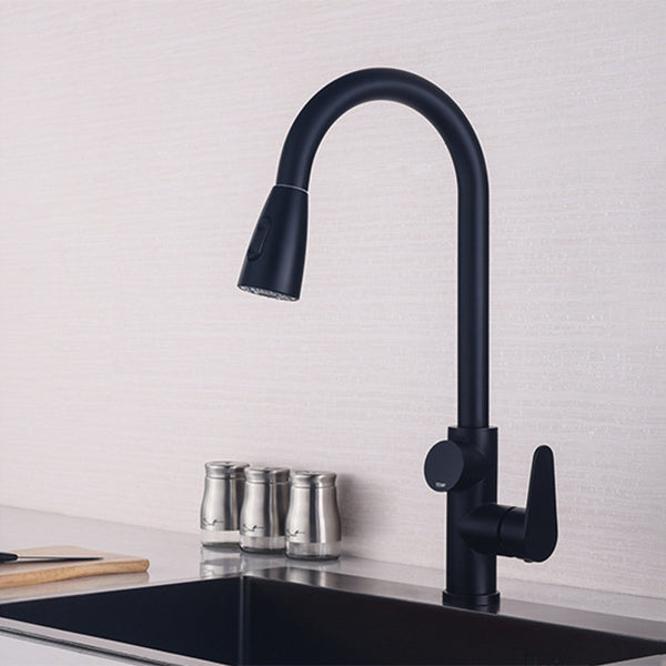 Modern Style Kitchen Faucet Stainless Steel 1-Handle High Arc Retractable Kitchen Faucet Clearhalo 'Home Improvement' 'home_improvement' 'home_improvement_kitchen_faucets' 'Kitchen Faucets' 'Kitchen Remodel & Kitchen Fixtures' 'Kitchen Sinks & Faucet Components' 'kitchen_faucets' 6484238