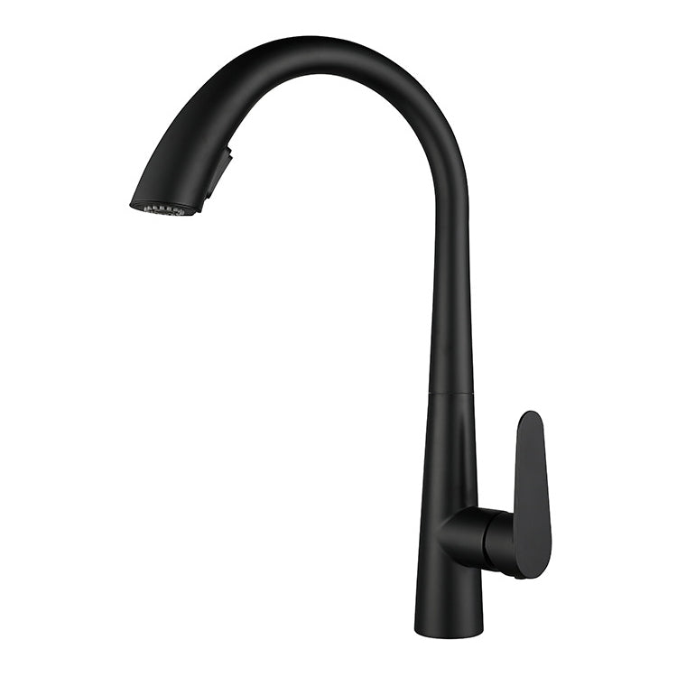 Modern Retractable Kitchen Faucet Stainless Steel Single Handle High Arc Kitchen Faucet Black Clearhalo 'Home Improvement' 'home_improvement' 'home_improvement_kitchen_faucets' 'Kitchen Faucets' 'Kitchen Remodel & Kitchen Fixtures' 'Kitchen Sinks & Faucet Components' 'kitchen_faucets' 6484277