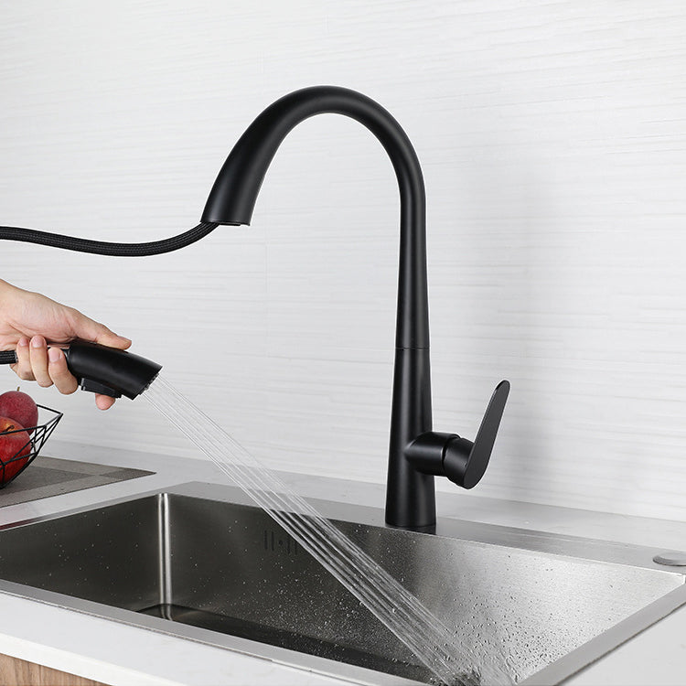 Modern Retractable Kitchen Faucet Stainless Steel Single Handle High Arc Kitchen Faucet Clearhalo 'Home Improvement' 'home_improvement' 'home_improvement_kitchen_faucets' 'Kitchen Faucets' 'Kitchen Remodel & Kitchen Fixtures' 'Kitchen Sinks & Faucet Components' 'kitchen_faucets' 6484283