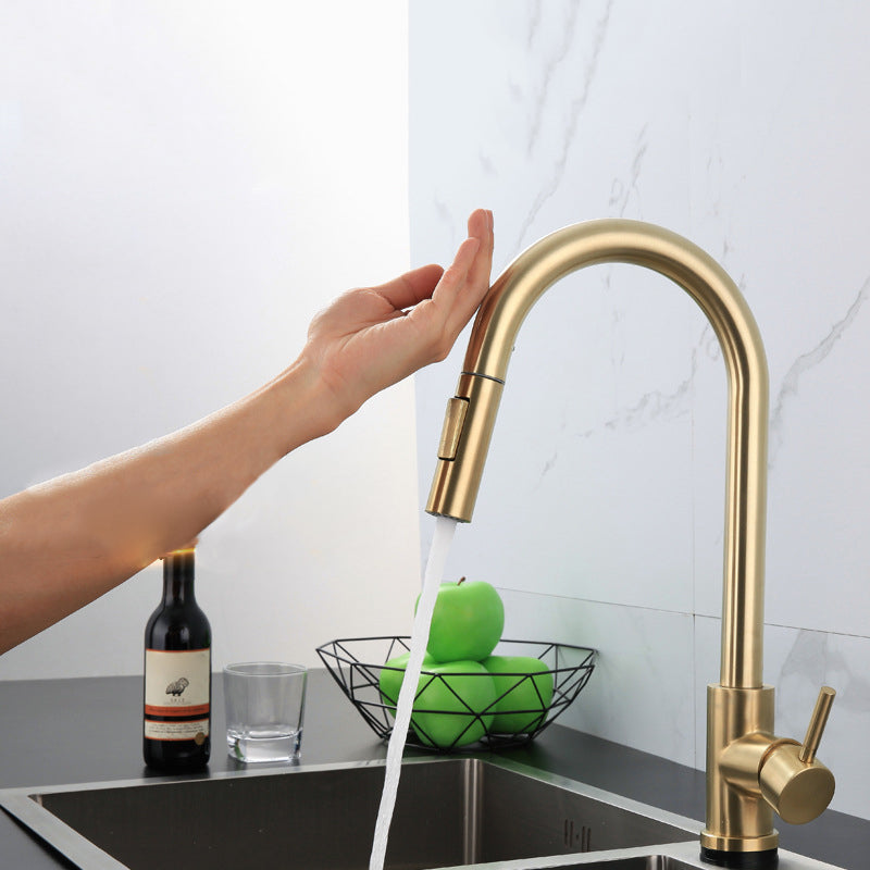 Modern Farmhouse Pull Down Water Filler One Handle High Arch Kitchen Faucet Clearhalo 'Home Improvement' 'home_improvement' 'home_improvement_kitchen_faucets' 'Kitchen Faucets' 'Kitchen Remodel & Kitchen Fixtures' 'Kitchen Sinks & Faucet Components' 'kitchen_faucets' 6484314