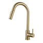 Modern Farmhouse Pull Down Water Filler One Handle High Arch Kitchen Faucet Gold Clearhalo 'Home Improvement' 'home_improvement' 'home_improvement_kitchen_faucets' 'Kitchen Faucets' 'Kitchen Remodel & Kitchen Fixtures' 'Kitchen Sinks & Faucet Components' 'kitchen_faucets' 6484318