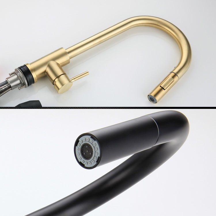 Modern Farmhouse Pull Down Water Filler One Handle High Arch Kitchen Faucet Clearhalo 'Home Improvement' 'home_improvement' 'home_improvement_kitchen_faucets' 'Kitchen Faucets' 'Kitchen Remodel & Kitchen Fixtures' 'Kitchen Sinks & Faucet Components' 'kitchen_faucets' 6484331