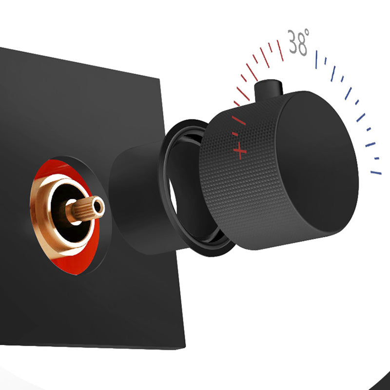 Contemporary Shower Set Dual Shower Head Thermostatic Wall Mounted Shower System Clearhalo 'Bathroom Remodel & Bathroom Fixtures' 'Home Improvement' 'home_improvement' 'home_improvement_shower_faucets' 'Shower Faucets & Systems' 'shower_faucets' 'Showers & Bathtubs Plumbing' 'Showers & Bathtubs' 6484509