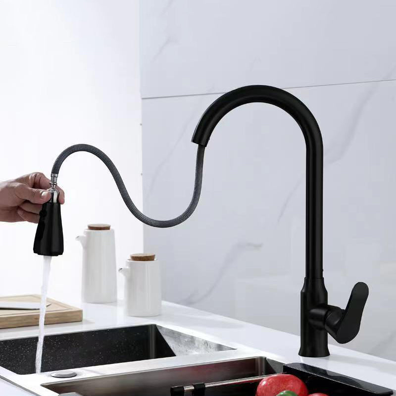 1-Handle Faucets Copper with Pull Out Sprayer with Water Dispenser Faucets Black Clearhalo 'Home Improvement' 'home_improvement' 'home_improvement_kitchen_faucets' 'Kitchen Faucets' 'Kitchen Remodel & Kitchen Fixtures' 'Kitchen Sinks & Faucet Components' 'kitchen_faucets' 6497714