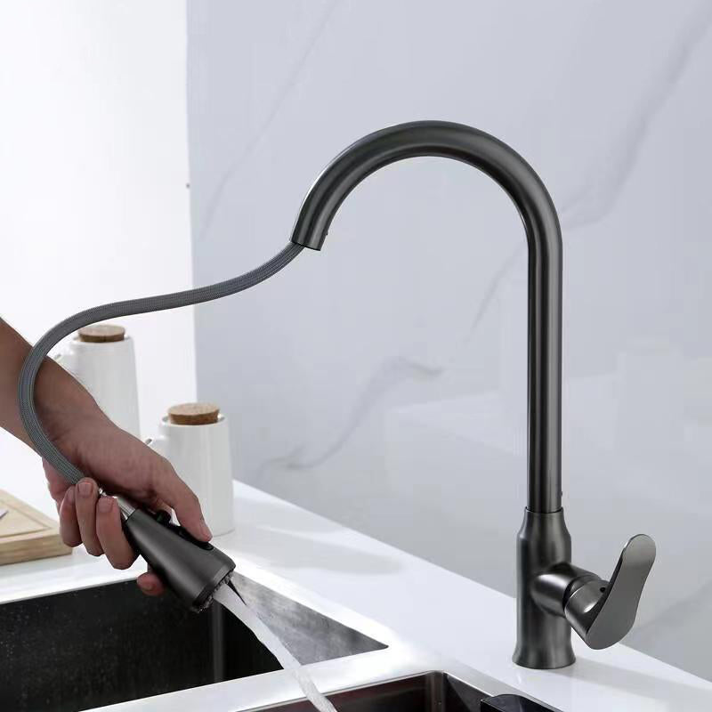 1-Handle Faucets Copper with Pull Out Sprayer with Water Dispenser Faucets Grey Clearhalo 'Home Improvement' 'home_improvement' 'home_improvement_kitchen_faucets' 'Kitchen Faucets' 'Kitchen Remodel & Kitchen Fixtures' 'Kitchen Sinks & Faucet Components' 'kitchen_faucets' 6497717