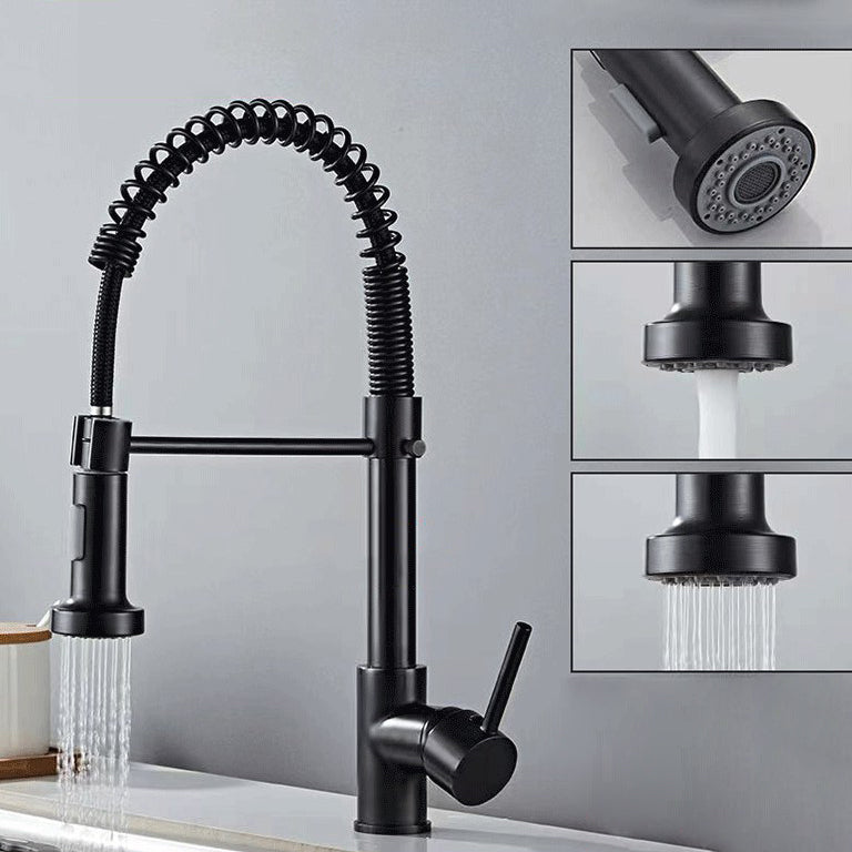 Modern 1-Handle Faucet Spring Spout with Water Dispenser Standard Kitchen Faucet Clearhalo 'Home Improvement' 'home_improvement' 'home_improvement_kitchen_faucets' 'Kitchen Faucets' 'Kitchen Remodel & Kitchen Fixtures' 'Kitchen Sinks & Faucet Components' 'kitchen_faucets' 6502531