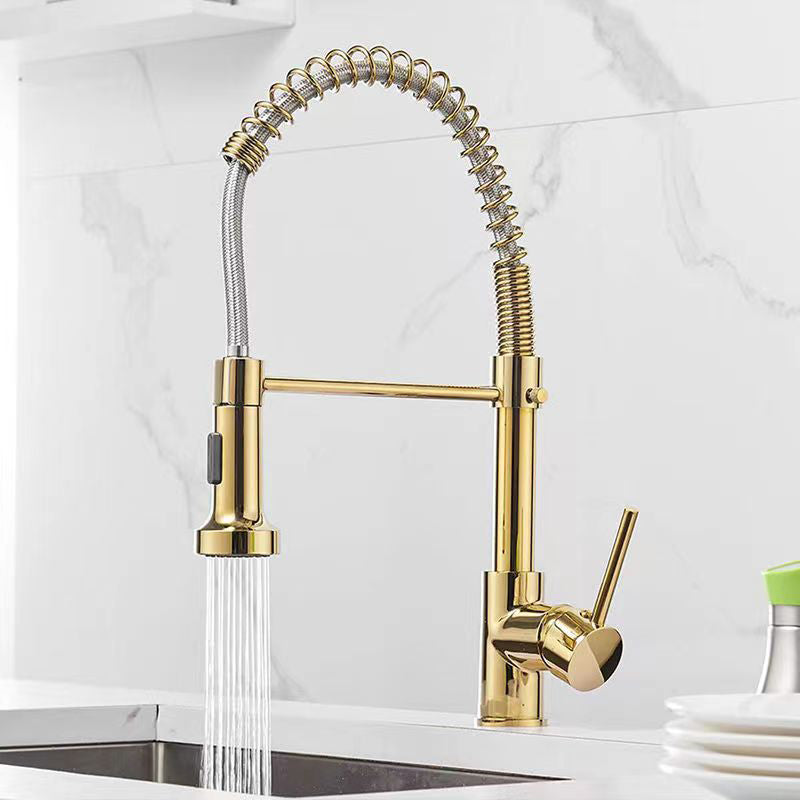 Modern 1-Handle Faucet Spring Spout with Water Dispenser Standard Kitchen Faucet Gold Clearhalo 'Home Improvement' 'home_improvement' 'home_improvement_kitchen_faucets' 'Kitchen Faucets' 'Kitchen Remodel & Kitchen Fixtures' 'Kitchen Sinks & Faucet Components' 'kitchen_faucets' 6502532