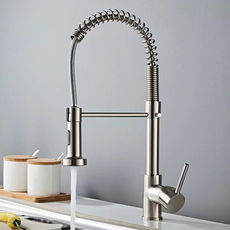 Modern 1-Handle Faucet Spring Spout with Water Dispenser Standard Kitchen Faucet Silver/Gray Clearhalo 'Home Improvement' 'home_improvement' 'home_improvement_kitchen_faucets' 'Kitchen Faucets' 'Kitchen Remodel & Kitchen Fixtures' 'Kitchen Sinks & Faucet Components' 'kitchen_faucets' 6502535