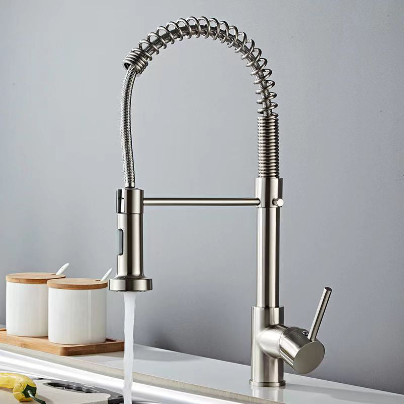 Modern 1-Handle Faucet Spring Spout with Water Dispenser Standard Kitchen Faucet Silver Gray Clearhalo 'Home Improvement' 'home_improvement' 'home_improvement_kitchen_faucets' 'Kitchen Faucets' 'Kitchen Remodel & Kitchen Fixtures' 'Kitchen Sinks & Faucet Components' 'kitchen_faucets' 6502535