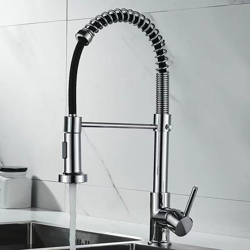 Modern 1-Handle Faucet Spring Spout with Water Dispenser Standard Kitchen Faucet Silver Clearhalo 'Home Improvement' 'home_improvement' 'home_improvement_kitchen_faucets' 'Kitchen Faucets' 'Kitchen Remodel & Kitchen Fixtures' 'Kitchen Sinks & Faucet Components' 'kitchen_faucets' 6502537