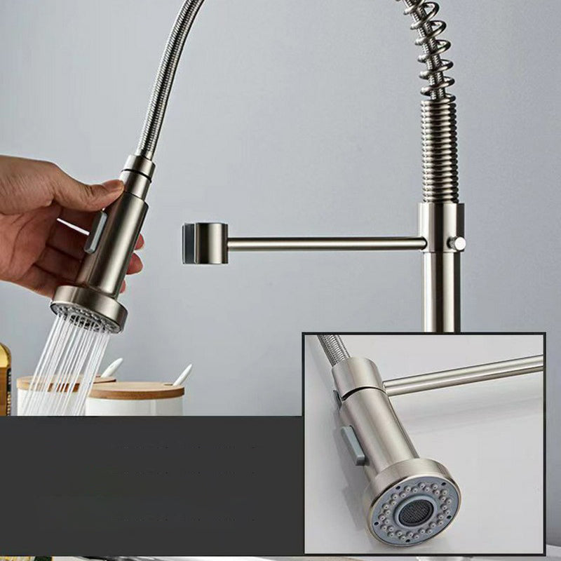 Modern 1-Handle Faucet Spring Spout with Water Dispenser Standard Kitchen Faucet Clearhalo 'Home Improvement' 'home_improvement' 'home_improvement_kitchen_faucets' 'Kitchen Faucets' 'Kitchen Remodel & Kitchen Fixtures' 'Kitchen Sinks & Faucet Components' 'kitchen_faucets' 6502541