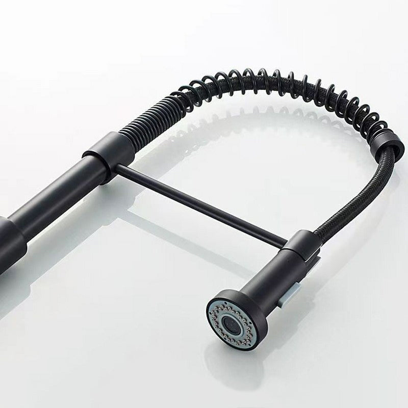 Modern 1-Handle Faucet Spring Spout with Water Dispenser Standard Kitchen Faucet Clearhalo 'Home Improvement' 'home_improvement' 'home_improvement_kitchen_faucets' 'Kitchen Faucets' 'Kitchen Remodel & Kitchen Fixtures' 'Kitchen Sinks & Faucet Components' 'kitchen_faucets' 6502542