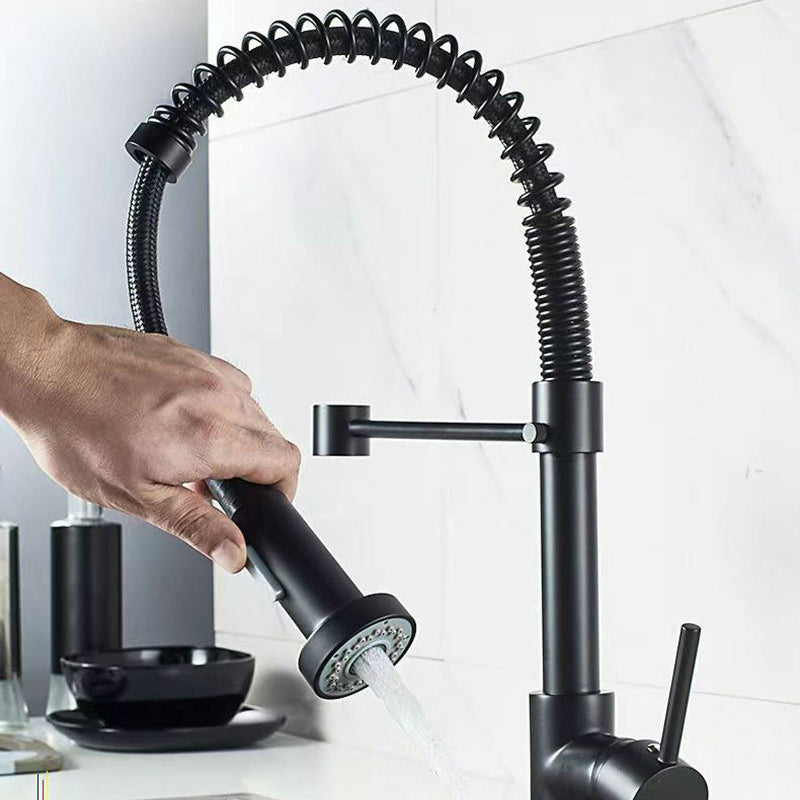 Modern 1-Handle Faucet Spring Spout with Water Dispenser Standard Kitchen Faucet Clearhalo 'Home Improvement' 'home_improvement' 'home_improvement_kitchen_faucets' 'Kitchen Faucets' 'Kitchen Remodel & Kitchen Fixtures' 'Kitchen Sinks & Faucet Components' 'kitchen_faucets' 6502544