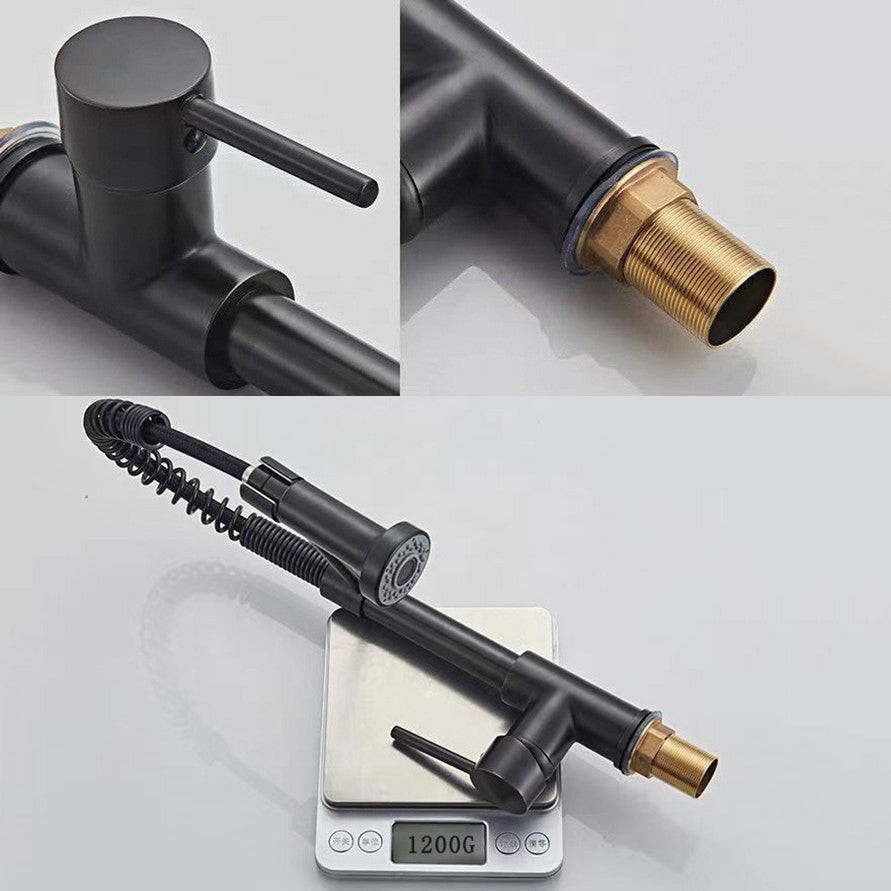 Modern 1-Handle Faucet Spring Spout with Water Dispenser Standard Kitchen Faucet Clearhalo 'Home Improvement' 'home_improvement' 'home_improvement_kitchen_faucets' 'Kitchen Faucets' 'Kitchen Remodel & Kitchen Fixtures' 'Kitchen Sinks & Faucet Components' 'kitchen_faucets' 6502547