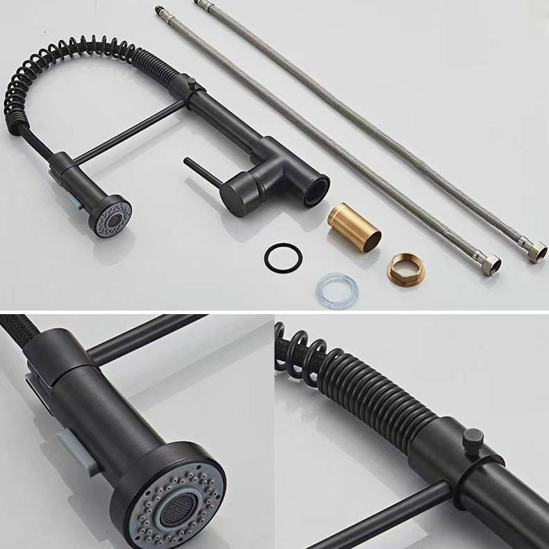 Modern 1-Handle Faucet Spring Spout with Water Dispenser Standard Kitchen Faucet Clearhalo 'Home Improvement' 'home_improvement' 'home_improvement_kitchen_faucets' 'Kitchen Faucets' 'Kitchen Remodel & Kitchen Fixtures' 'Kitchen Sinks & Faucet Components' 'kitchen_faucets' 6502548