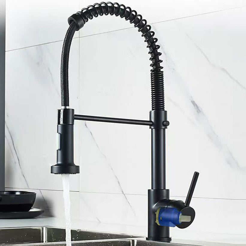 Modern 1-Handle Faucet Spring Spout with Water Dispenser Standard Kitchen Faucet Clearhalo 'Home Improvement' 'home_improvement' 'home_improvement_kitchen_faucets' 'Kitchen Faucets' 'Kitchen Remodel & Kitchen Fixtures' 'Kitchen Sinks & Faucet Components' 'kitchen_faucets' 6502549