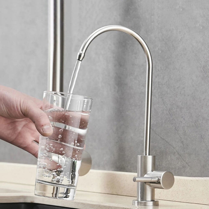 Modern 1-Handle Faucet with Water Dispenser 1-Hole Standard Kitchen Faucet Silver Clearhalo 'Home Improvement' 'home_improvement' 'home_improvement_kitchen_faucets' 'Kitchen Faucets' 'Kitchen Remodel & Kitchen Fixtures' 'Kitchen Sinks & Faucet Components' 'kitchen_faucets' 6502583