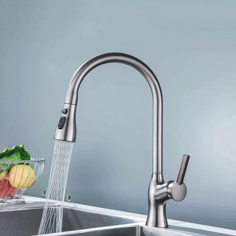1-Hole 1-Handle Faucet Pull out Sprayer Standard Kitchen Faucet Grey Clearhalo 'Home Improvement' 'home_improvement' 'home_improvement_kitchen_faucets' 'Kitchen Faucets' 'Kitchen Remodel & Kitchen Fixtures' 'Kitchen Sinks & Faucet Components' 'kitchen_faucets' 6510751