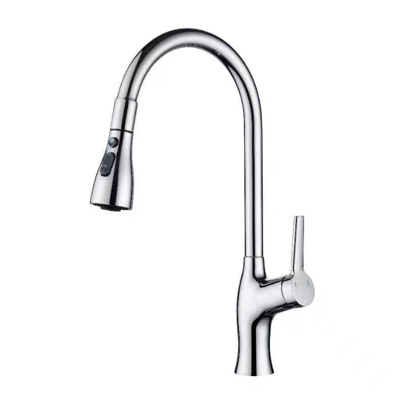 1-Hole 1-Handle Faucet Pull out Sprayer Standard Kitchen Faucet Silver Clearhalo 'Home Improvement' 'home_improvement' 'home_improvement_kitchen_faucets' 'Kitchen Faucets' 'Kitchen Remodel & Kitchen Fixtures' 'Kitchen Sinks & Faucet Components' 'kitchen_faucets' 6510752