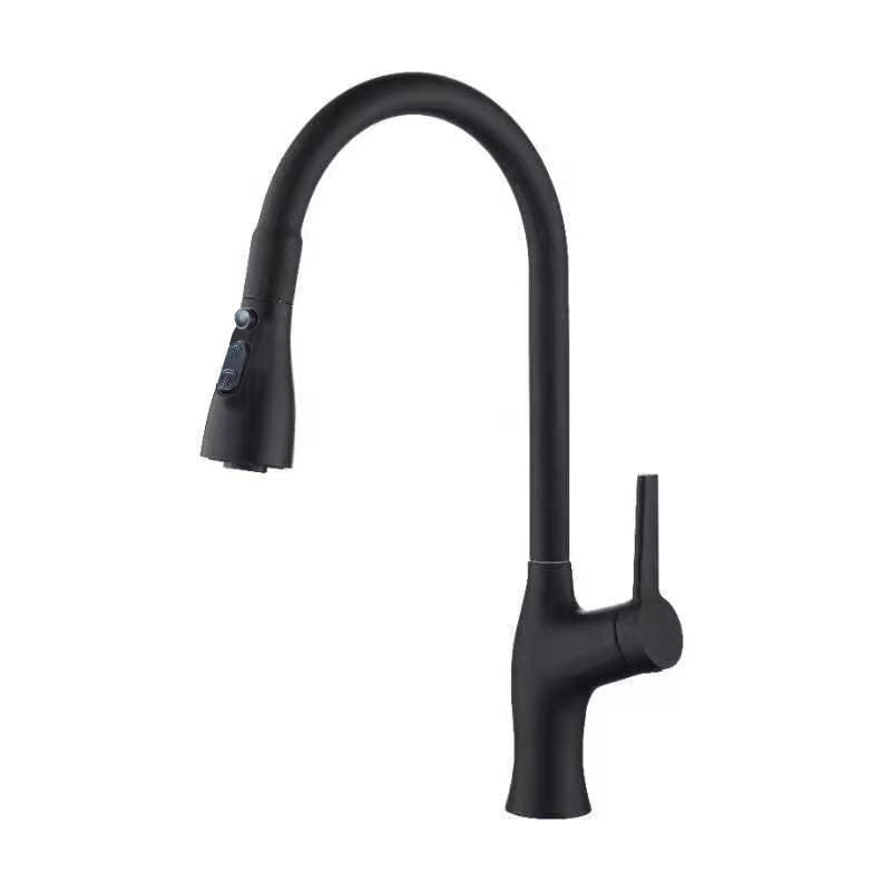 1-Hole 1-Handle Faucet Pull out Sprayer Standard Kitchen Faucet Black Clearhalo 'Home Improvement' 'home_improvement' 'home_improvement_kitchen_faucets' 'Kitchen Faucets' 'Kitchen Remodel & Kitchen Fixtures' 'Kitchen Sinks & Faucet Components' 'kitchen_faucets' 6510753