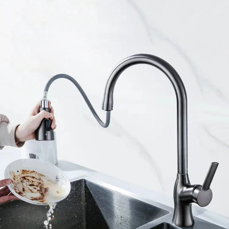 1-Hole 1-Handle Faucet Pull out Sprayer Standard Kitchen Faucet Clearhalo 'Home Improvement' 'home_improvement' 'home_improvement_kitchen_faucets' 'Kitchen Faucets' 'Kitchen Remodel & Kitchen Fixtures' 'Kitchen Sinks & Faucet Components' 'kitchen_faucets' 6510755
