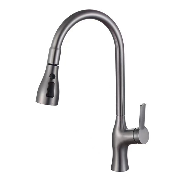 1-Hole 1-Handle Faucet Pull out Sprayer Standard Kitchen Faucet Clearhalo 'Home Improvement' 'home_improvement' 'home_improvement_kitchen_faucets' 'Kitchen Faucets' 'Kitchen Remodel & Kitchen Fixtures' 'Kitchen Sinks & Faucet Components' 'kitchen_faucets' 6510757