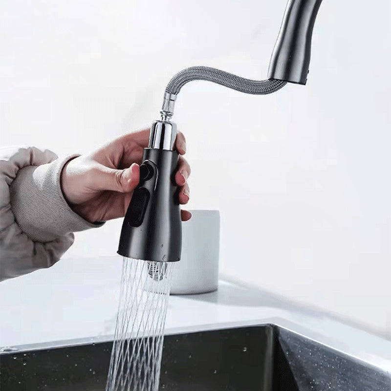 1-Hole 1-Handle Faucet Pull out Sprayer Standard Kitchen Faucet Clearhalo 'Home Improvement' 'home_improvement' 'home_improvement_kitchen_faucets' 'Kitchen Faucets' 'Kitchen Remodel & Kitchen Fixtures' 'Kitchen Sinks & Faucet Components' 'kitchen_faucets' 6510759